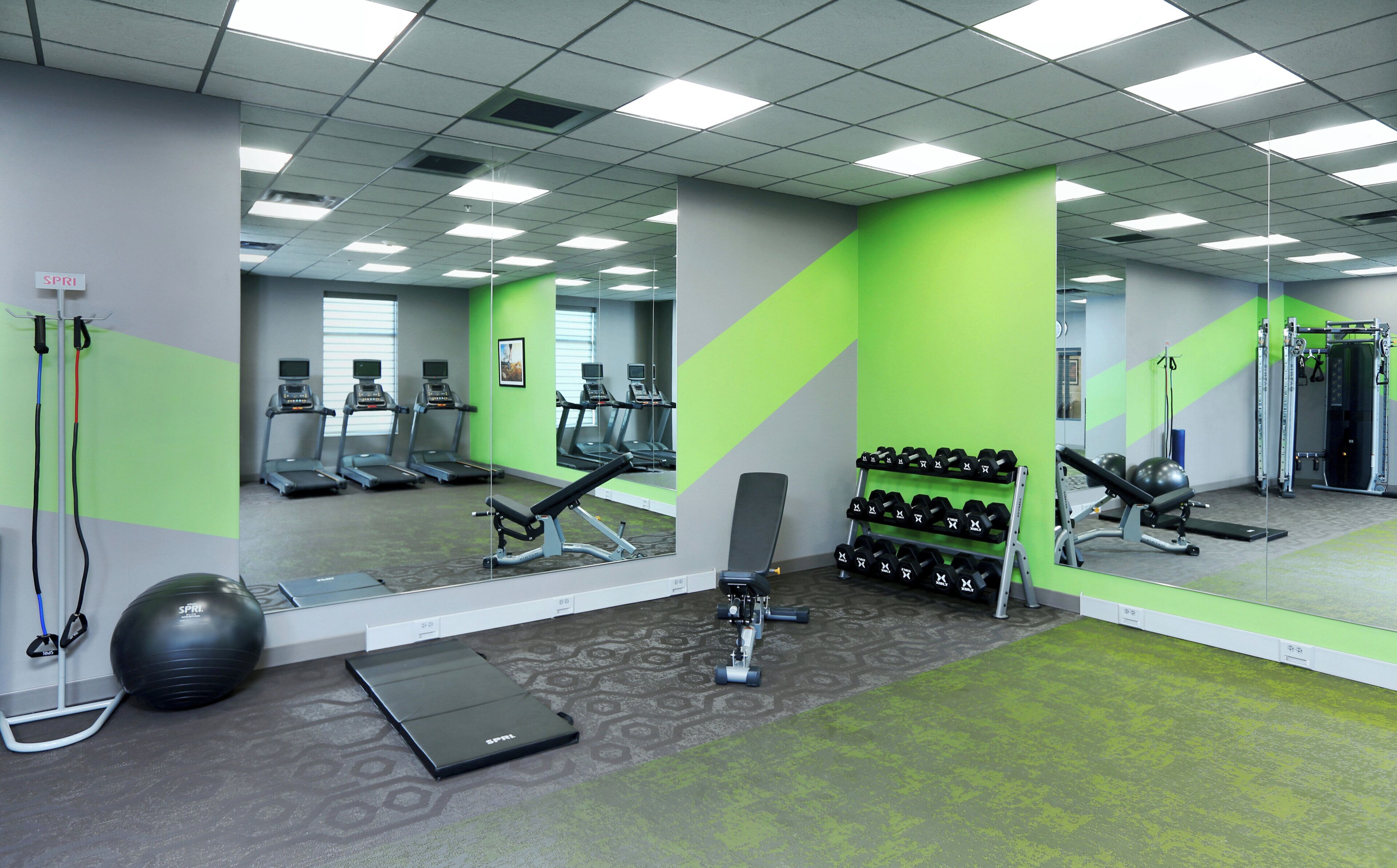 A gym with treadmills, a bench press, and a rack of dumbbells.