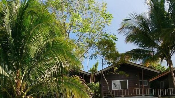A wooden dock leading to a house surrounded by palm trees and water. - Hotel Santa Bárbara Tikal (San Benito)