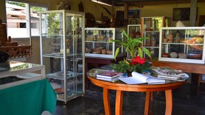 A room with glass display cases containing pottery and books, a wooden table with a plant, and a green tablecloth. - Hotel Santa Bárbara Tikal (San Benito)