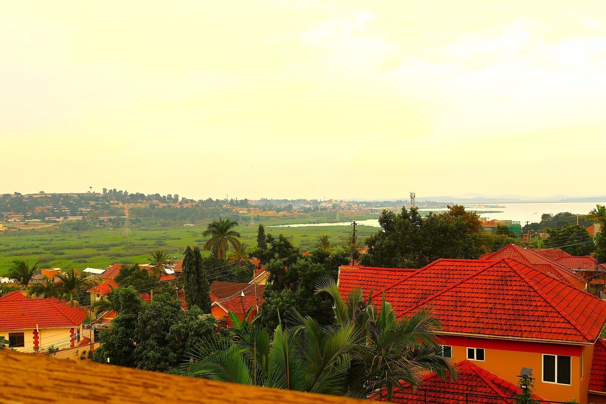 A residential area with houses having red roofs, surrounded by greenery and a distant view of a body of water.