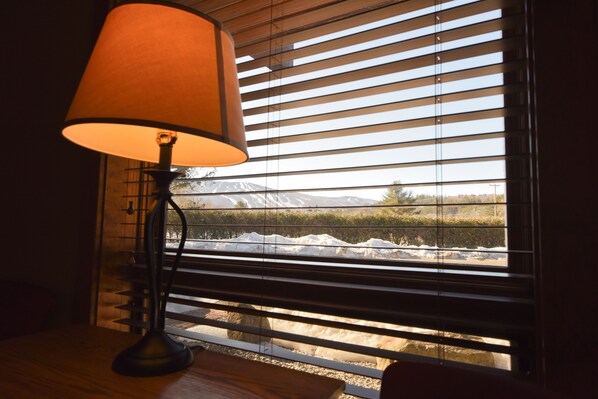 Executive-huoneisto, 2 makuuhuonetta, parveke, vuoristonäköala (Not Pet Friendly) | Näkymä huoneesta