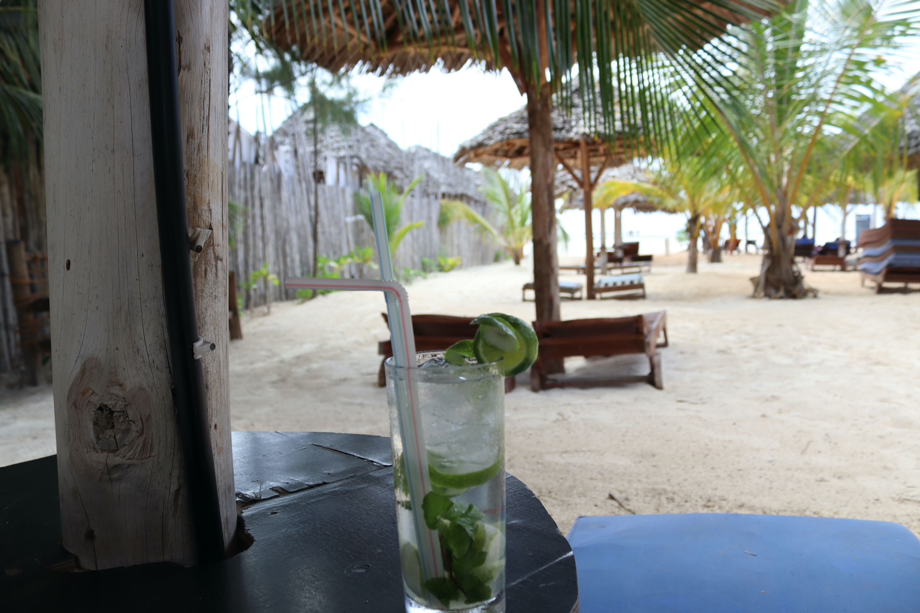 A glass of a clear beverage with lime and mint, placed on a table with a view of a beach and palm trees in the background.