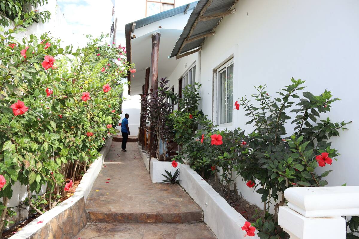 Un estrecho sendero de piedra flanqueado por plantas verdes y flores rojas que conduce a un edificio blanco con porche cubierto.