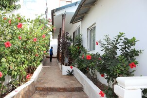 A narrow stone pathway flanked by lush green plants and red flowers leading to a white building with a covered porch.