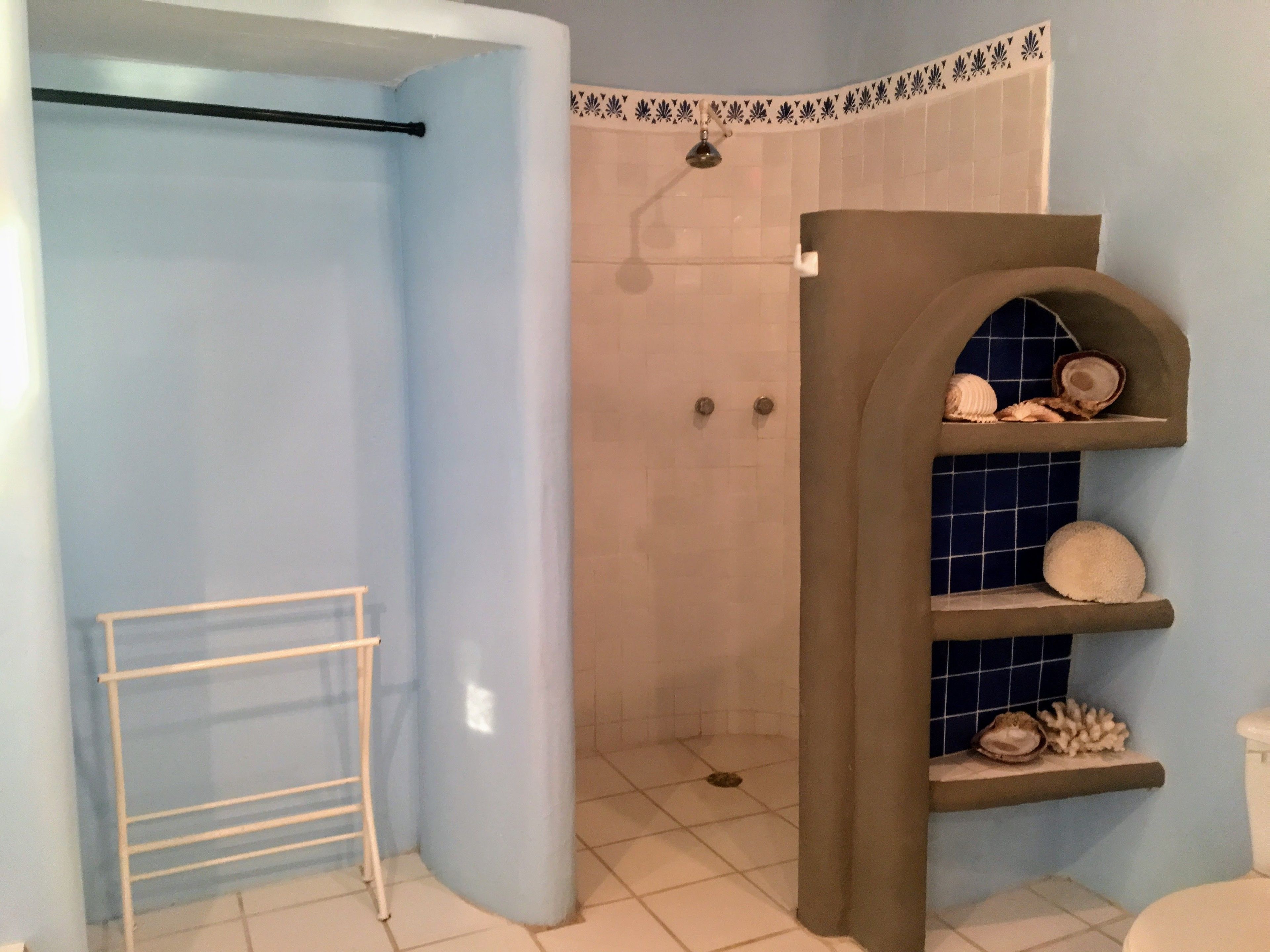 A bathroom with a shower, a towel rack, and a shelf with decorative shells.