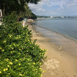 Trên bãi biển