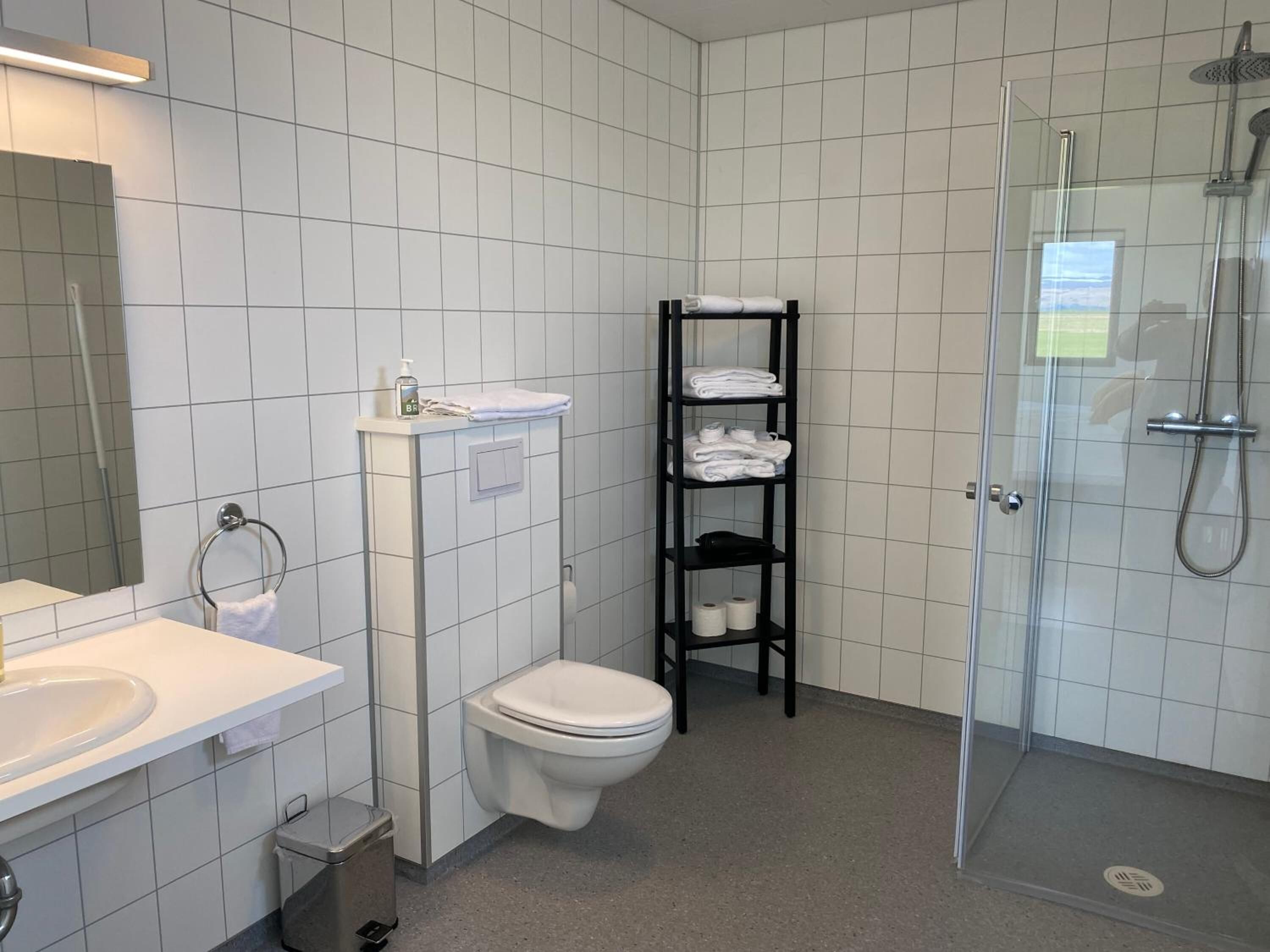 A modern bathroom with a toilet, sink, and a glass-enclosed shower area.
