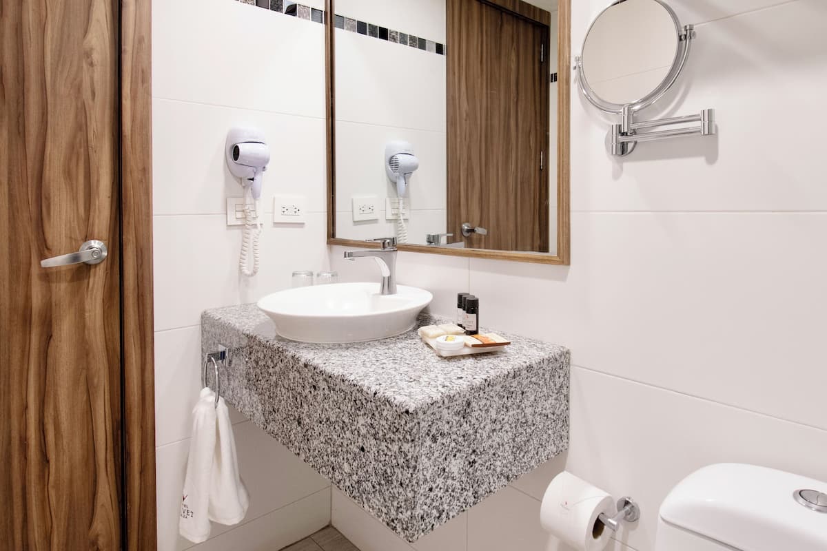 shower, free toiletries, hair dryer, towels