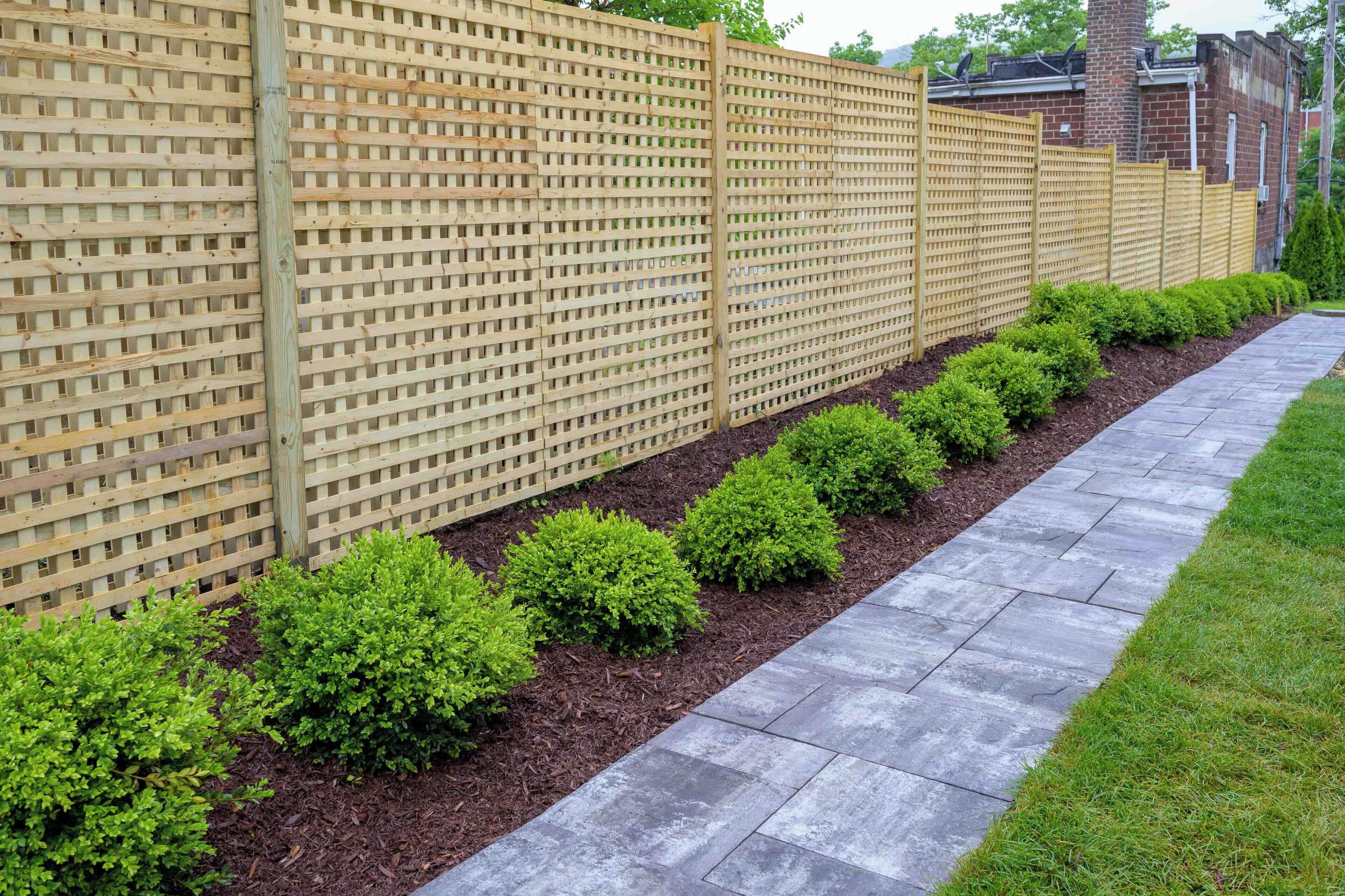 A wooden lattice fence with evenly spaced shrubs along a paved pathway.