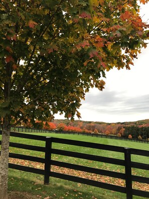 Property grounds - Station Inn Pawling (Pawling)