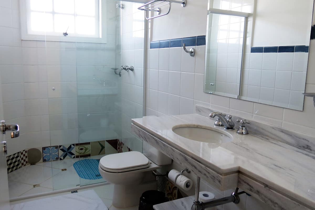 shower, free toiletries, hair dryer, towels