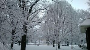 A snow-covered park with trees and a building in the background. - JARVIS Edgewater Park & Beach 5BD Villa (Cleveland)