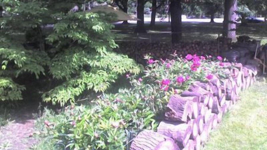 JARVIS Edgewater Park & Beach 5BD Villa