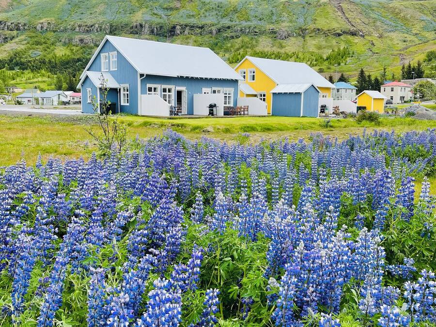 1 bedroom, premium bedding, soundproofing, iron/ironing board