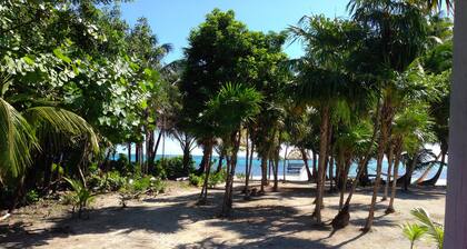 Turtle Beach Cottages