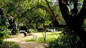 Ein Garten mit einem gepflasterten Weg, der zu einer Sitzgruppe mit Bänken führt.