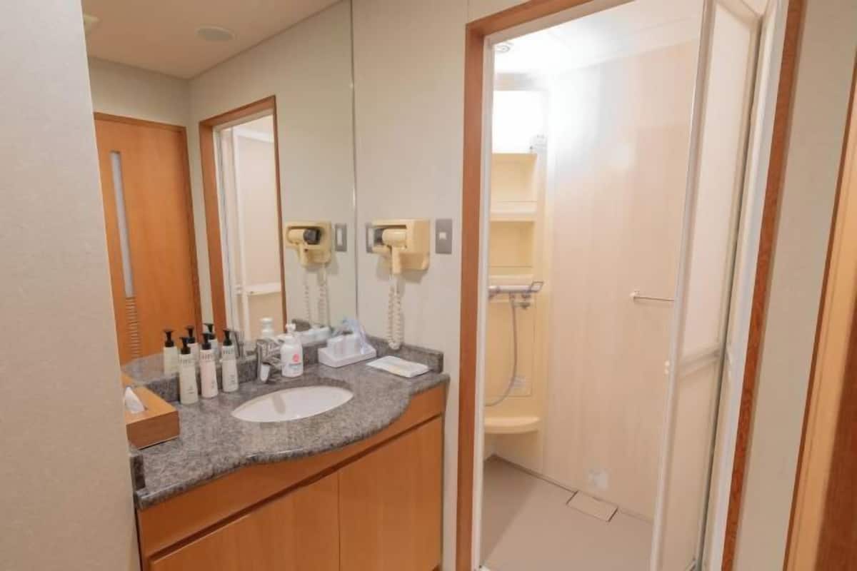 Articles de toilette gratuits, sèche-cheveux, chaussons, bidet