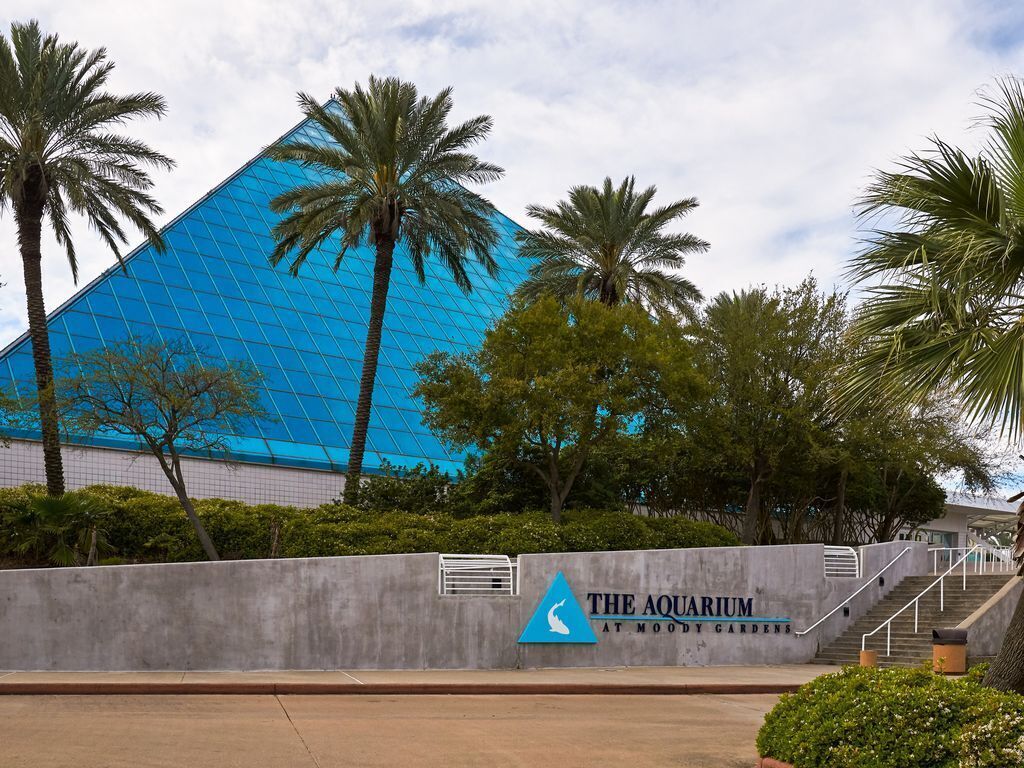 The Aquarium at Moody Gardens with a large blue glass building, palm trees, and a concrete wall with stairs leading up to the entrance.