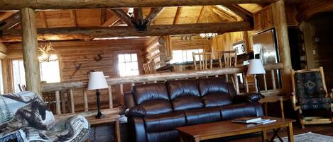 TV, fireplace, books, printers