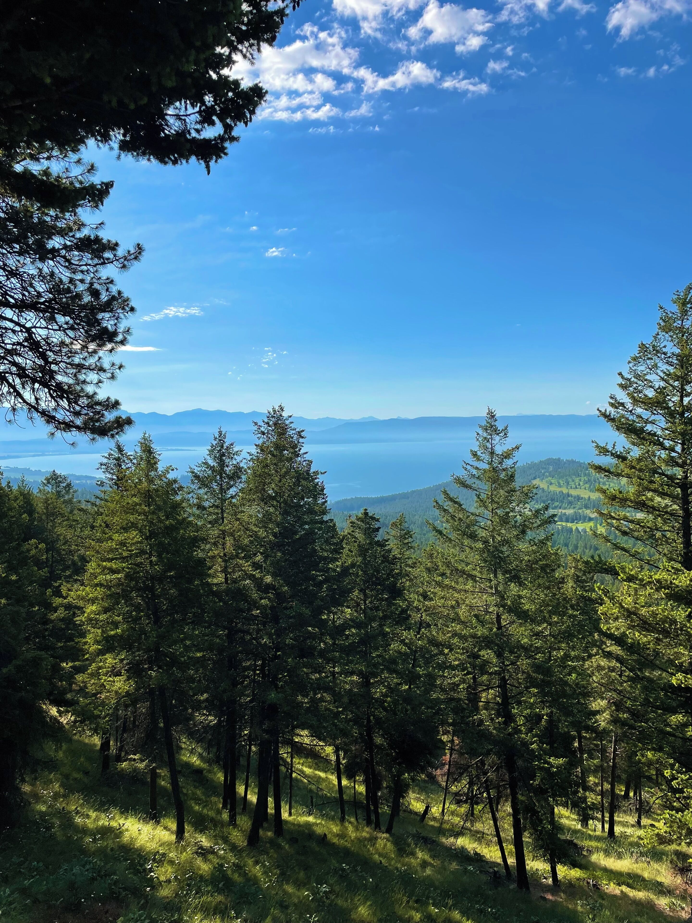 Authentic Hand-Crafted Mountain Cabin w/ Amazing Lake View !