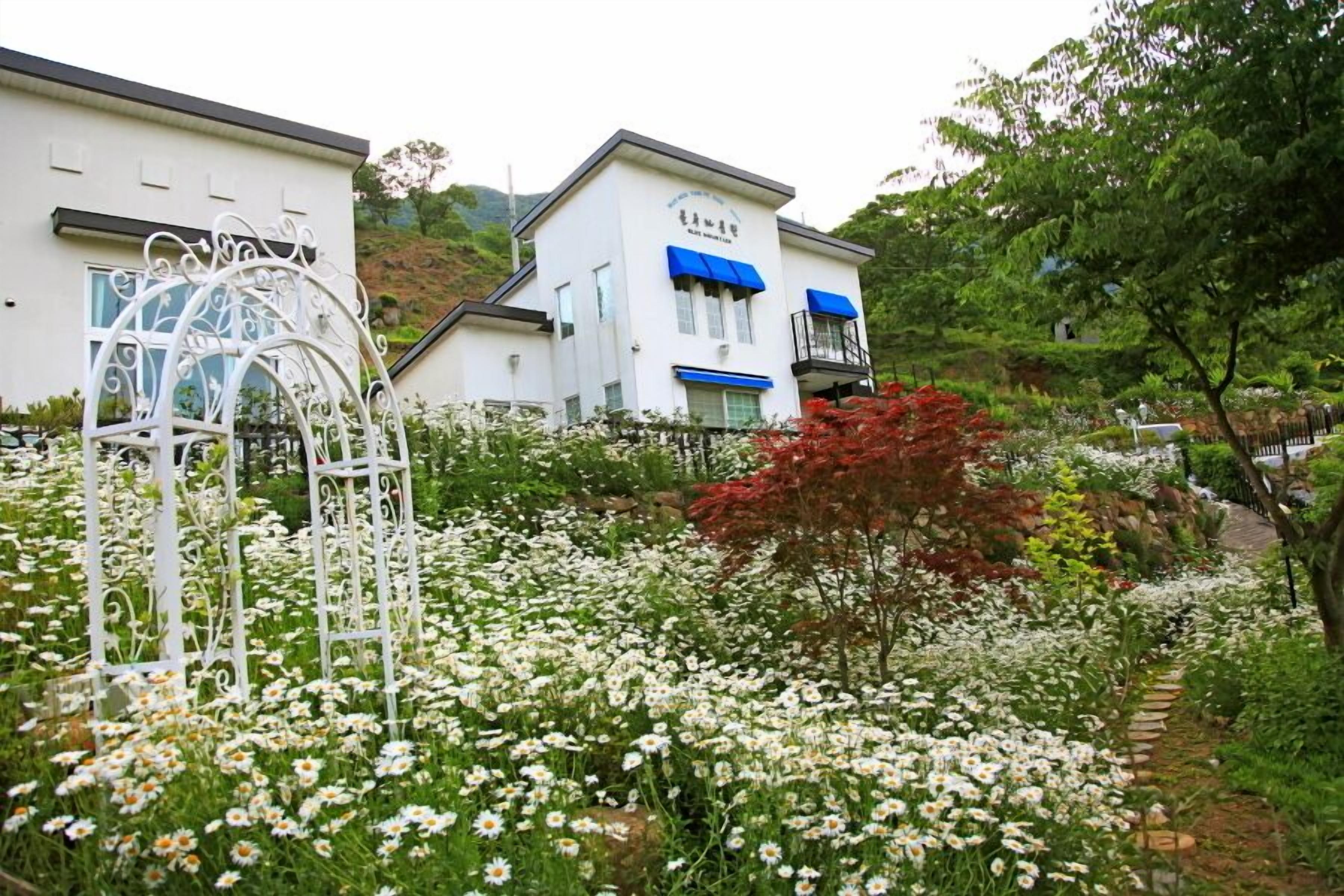 Ein Gebäude mit weißer Fassade und blauen Markisen, umgeben von einem Garten mit weißen Blüten und einem roten Baum.