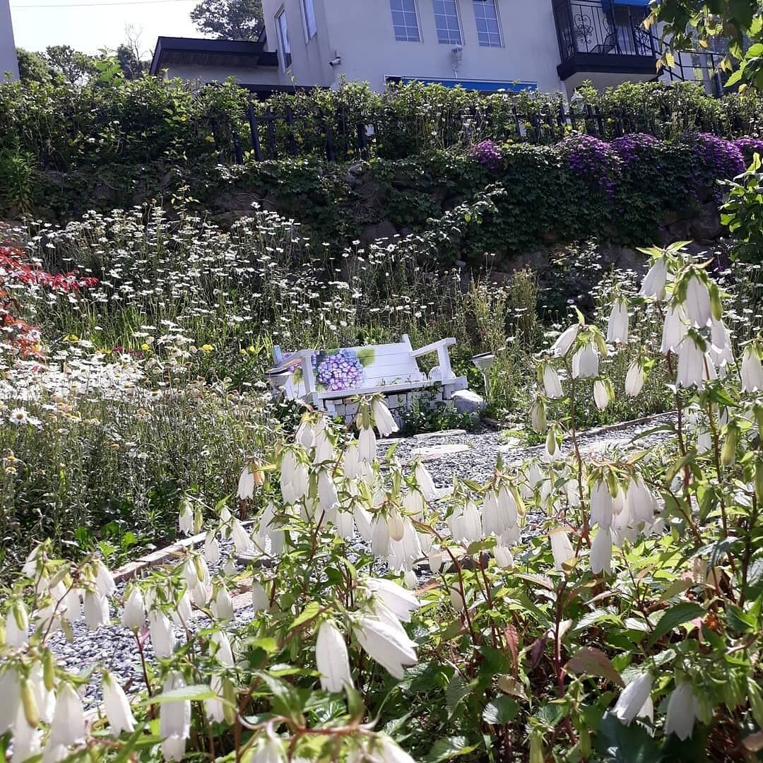 A garden with a variety of flowers and plants, a bench, and a building in the background.