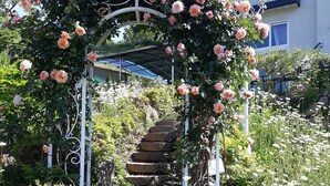 A garden with a stone staircase leading up to a white metal archway covered in pink roses. - Emotion Pension (Hadong)