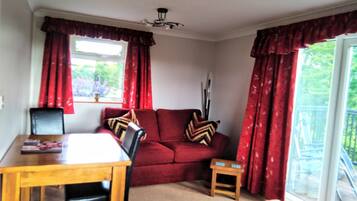 TV, DVD player, books, video library