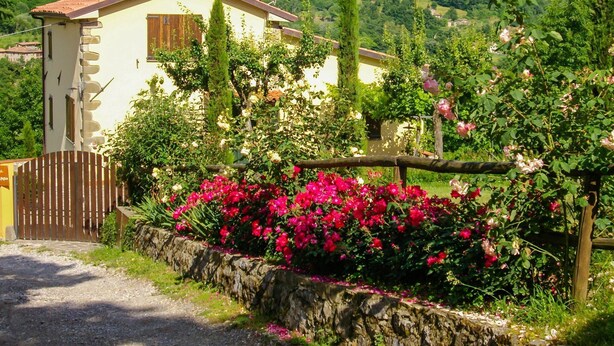 A rural house with a stone wall and a wooden gate, surrounded by lush greenery and flowering plants. - Beautiful villa, private pool WIFI gorgeous gardens & mountain views- peaceful! (Poggio)