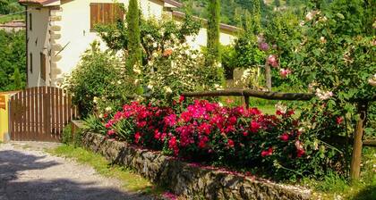 Belle villa rénovée avec piscine privée dans la Garfagnana intacte