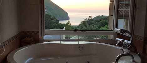 Shower, jetted bath, hair dryer, bidet