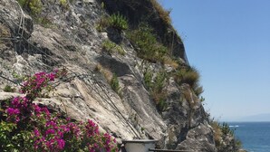 Un balcón frente al mar con vista a un acantilado rocoso y flores rosadas.