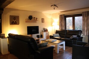 Smart TV, fireplace, books, stereo - Gite L'Eden au Vert Chiny 4 stars (Chiny)