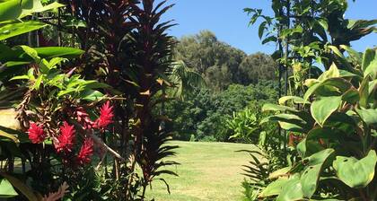 Tranquil cottage in peaceful Kohala farm setting
