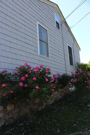 Ein Haus mit Steinfundament und rosa Blumen vor der Fassade.
