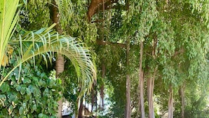 Courtyard - Roey Backpackers & Party Bar (Broome)