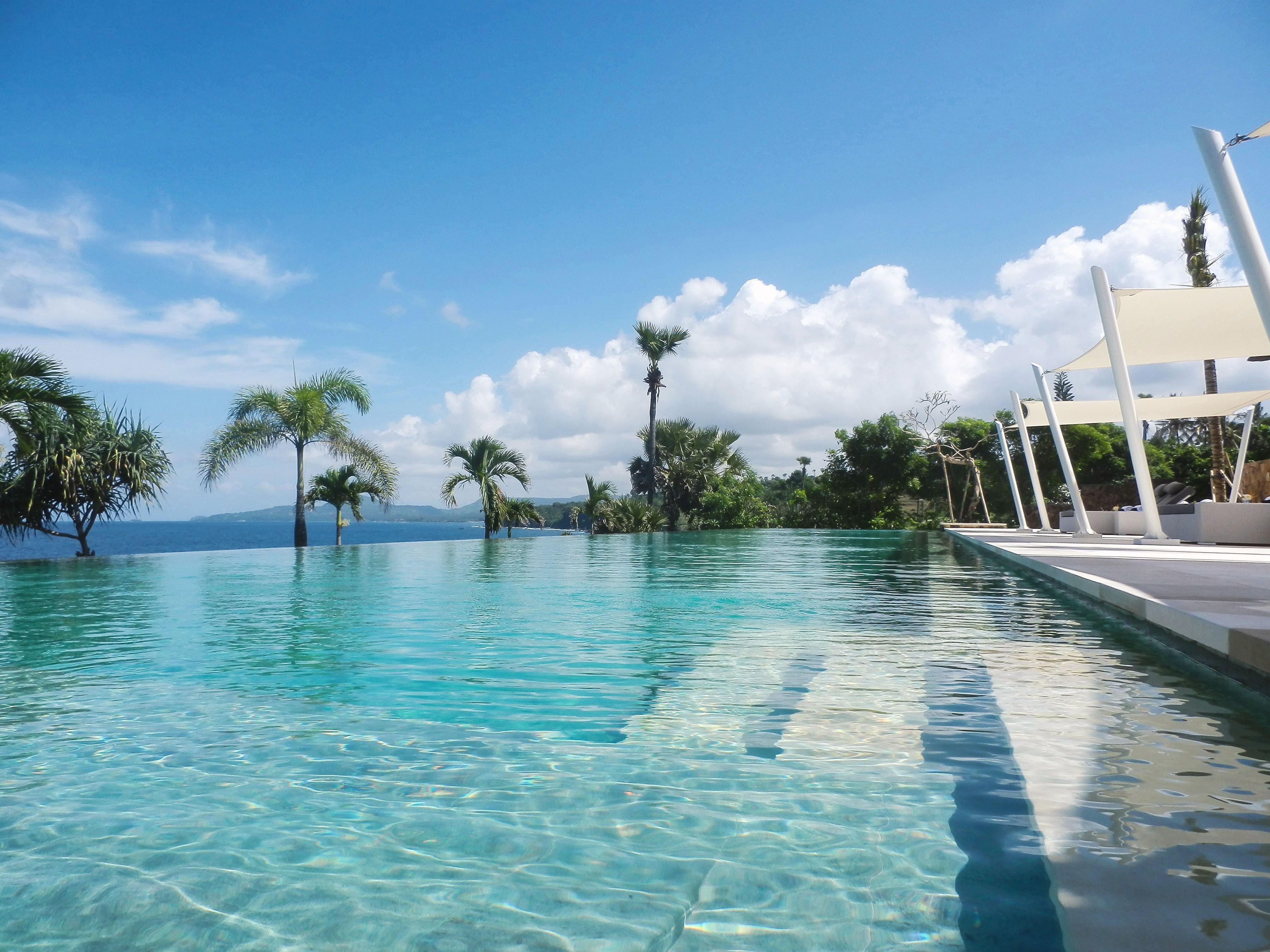 Outdoor pool, pool umbrellas, pool loungers