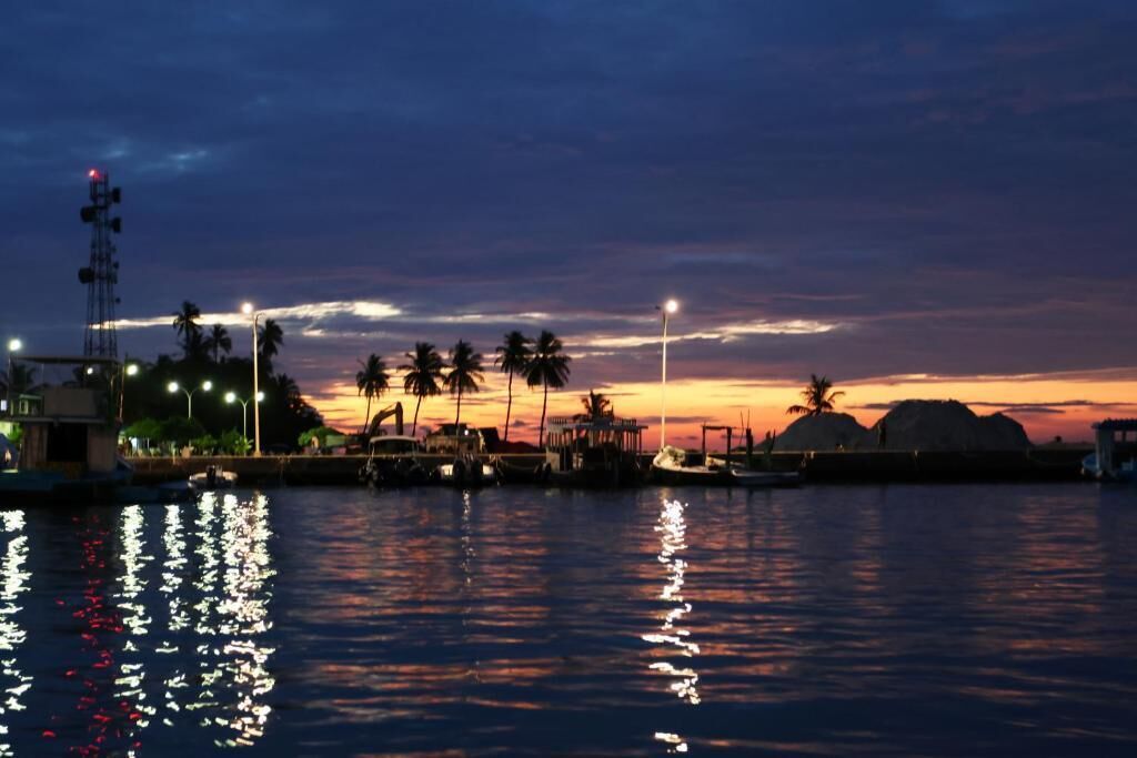 Escena costera con atardecer, palmeras y un edificio con torre.