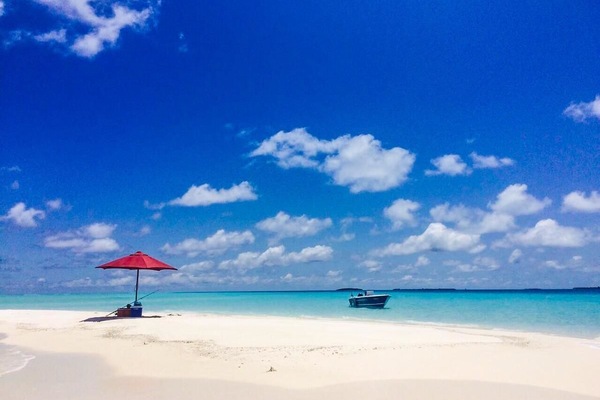 Pemandangan dari properti