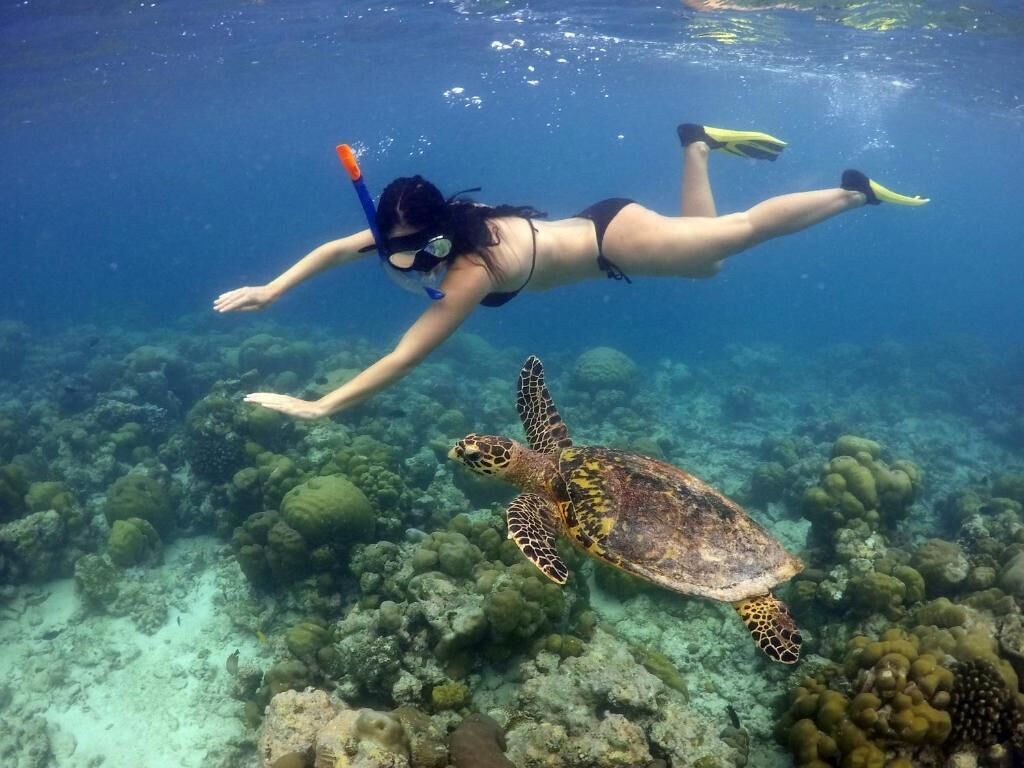 A person snorkeling underwater with a sea turtle nearby.