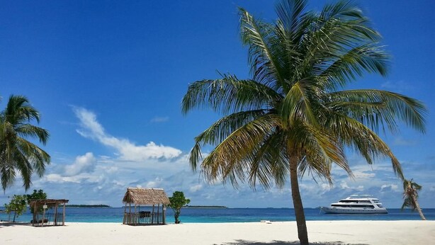 A beach with white sand, palm trees, a thatched-roof hut, and a yacht in the background.
