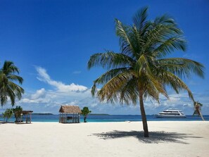 A beach with white sand, palm trees, a thatched-roof hut, and a yacht in the background. - Hanifaru Transit Inn (Dharavandhoo)