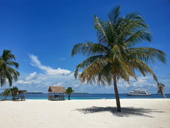On the beach, scuba diving - Hanifaru Transit Inn (Dharavandhoo)