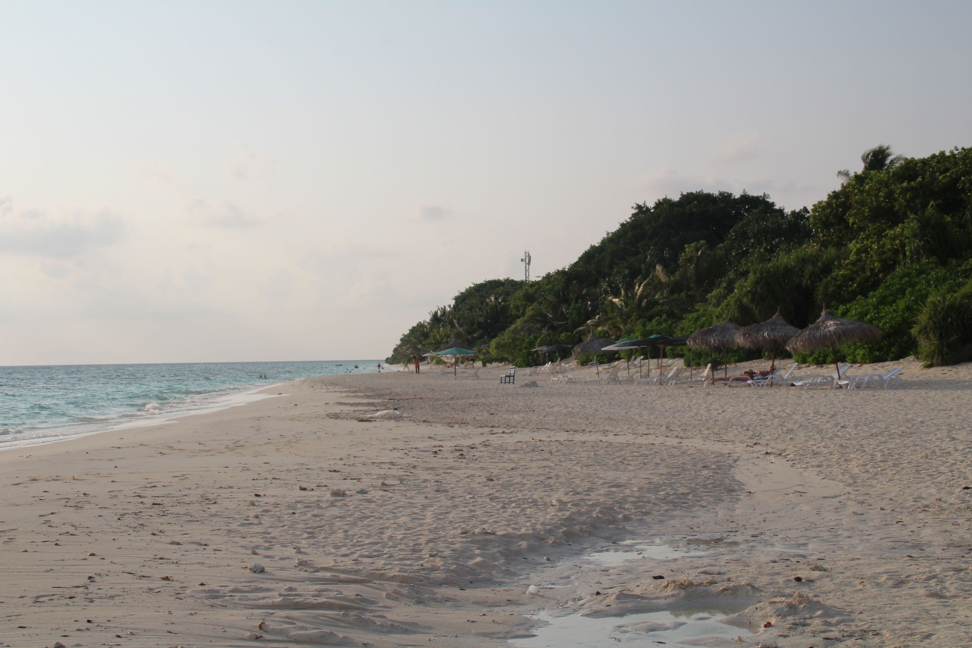 Ein Strand mit Sandküste, Sonnenschirmen und einigen Personen.