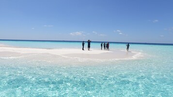 En la playa, snorkel, pesca