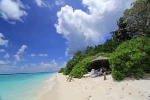 الإطلالة من المنشأة