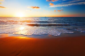 位於海灘上