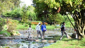 Un groupe de personnes traverse un petit ruisseau dans un parc où la végétation est luxuriante et où il y a de nombreux arbres.