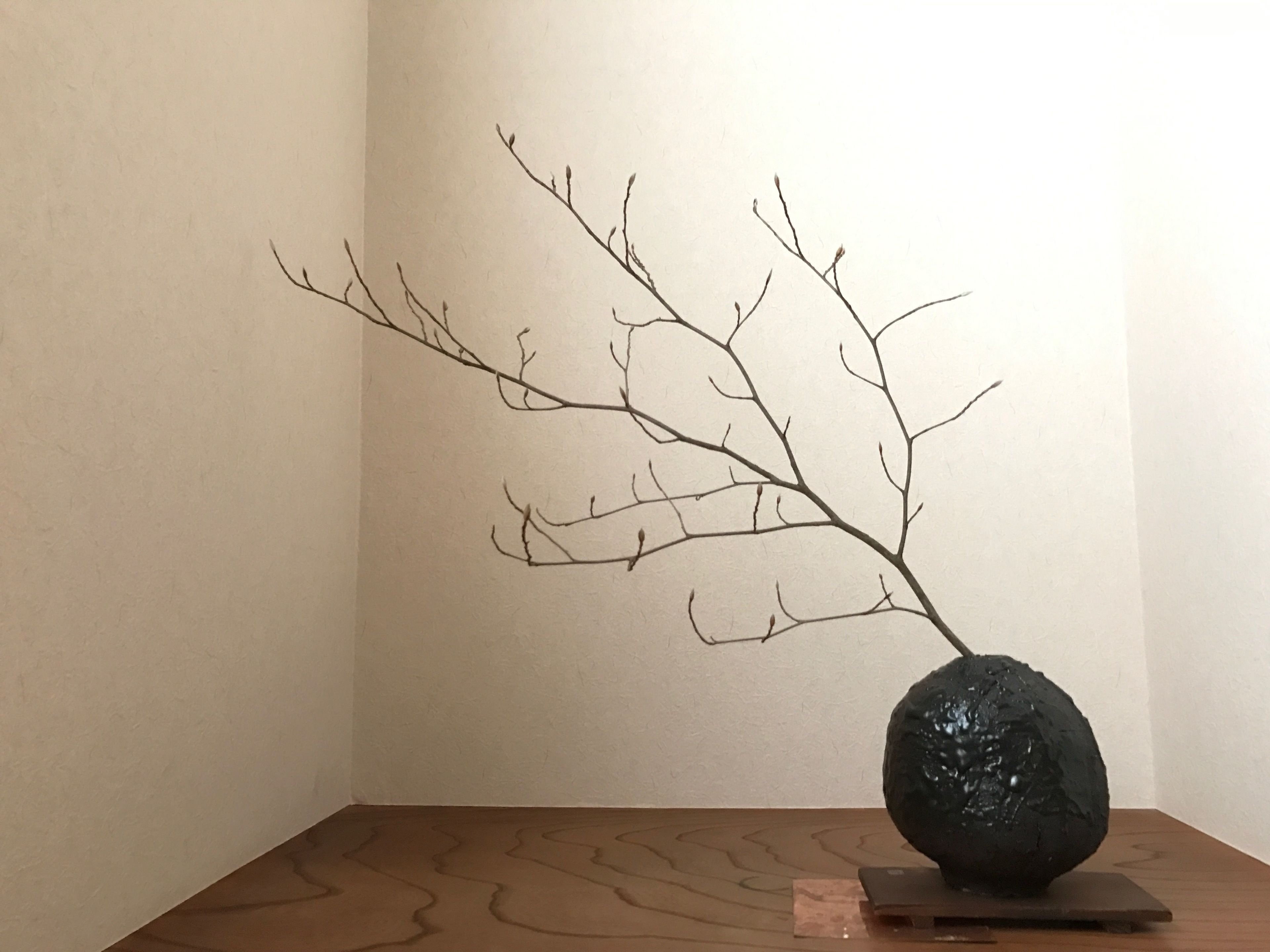 Una escultura de ramas en un jarrón sobre una mesa de madera frente a una pared lisa.