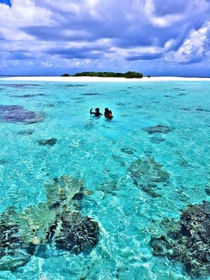 A clear turquoise sea with coral reefs and two people swimming. - Village Life Maldives (Maamendhoo)